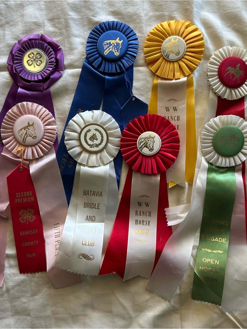 Assorted Horse Show Rosettes - Multi-Color Award Ribbons